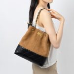 Classic Chain Handheld Commuter Premium Shoulder Bag Large Capacity Suede New Crossbody Genuine Leather Bucket Bag