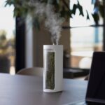 Add Calm with Living Moss